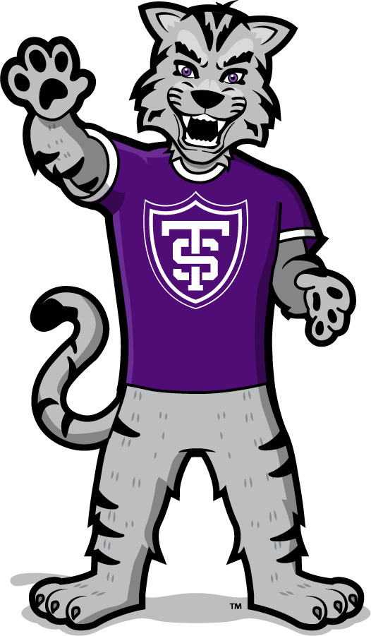 St. Thomas Tommies 2021-Pres Mascot Logo iron on transfers for clothing